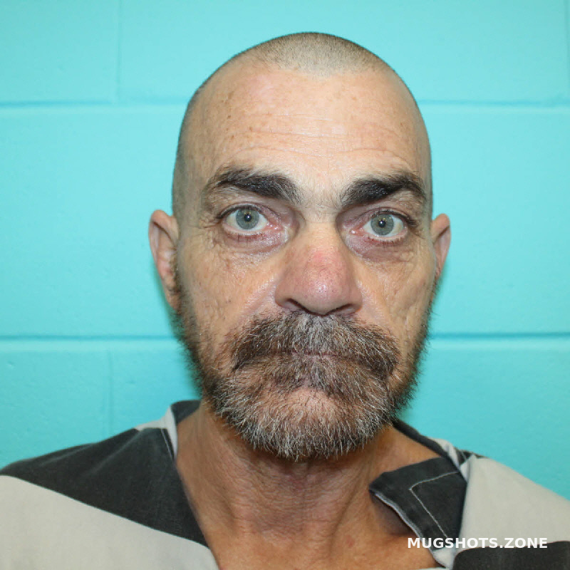 JERRY DALE GREEN 11/12/2024 Nolan County Mugshots Zone
