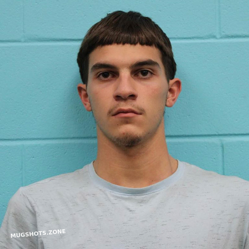 ZACKARY RYAN ALEXANDER 11/20/2024 - Nolan County Mugshots Zone