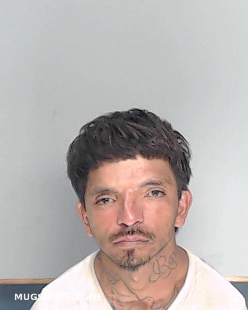 Vallejo Trinity 07 23 2023 Nueces County Mugshots Zone