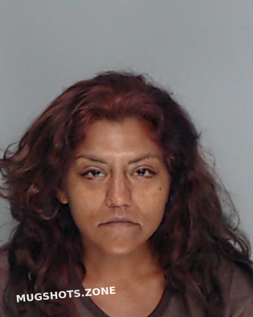 Garcia Linda 08 04 2023 Nueces County Mugshots Zone