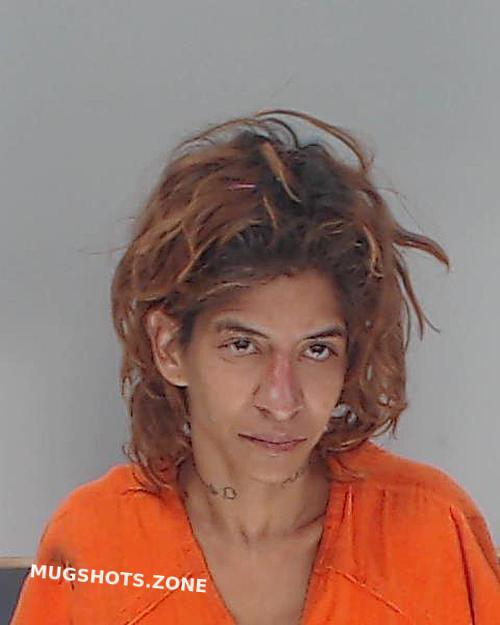 REYES ALICIA M 12/26/2023 Nueces County Mugshots Zone