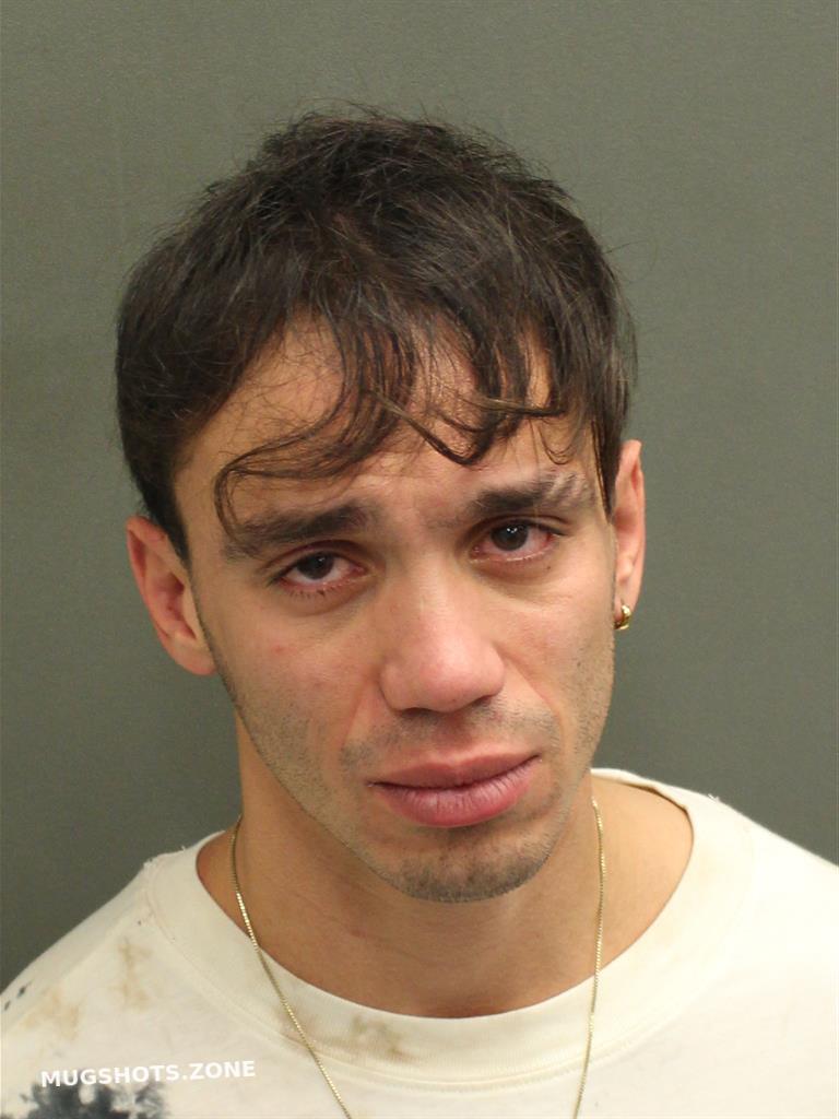 HERNANDEZLUGO LUIS ALFREDO 12/04/2022 Orange County Mugshots Zone