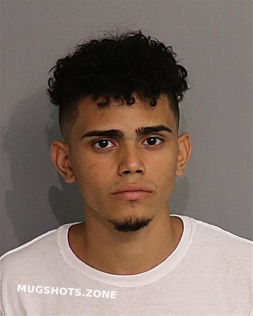 TORRES LUIS Osceola County Mugshots Zone