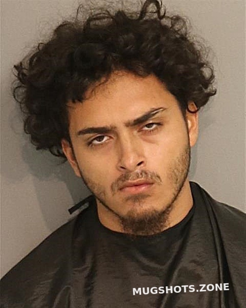 MILO DAVANAND 10/12/2022 - Osceola County Mugshots Zone