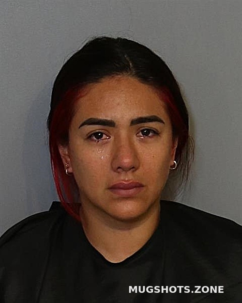 NELLIS CARMEN 04/21/2023 Osceola County Mugshots Zone