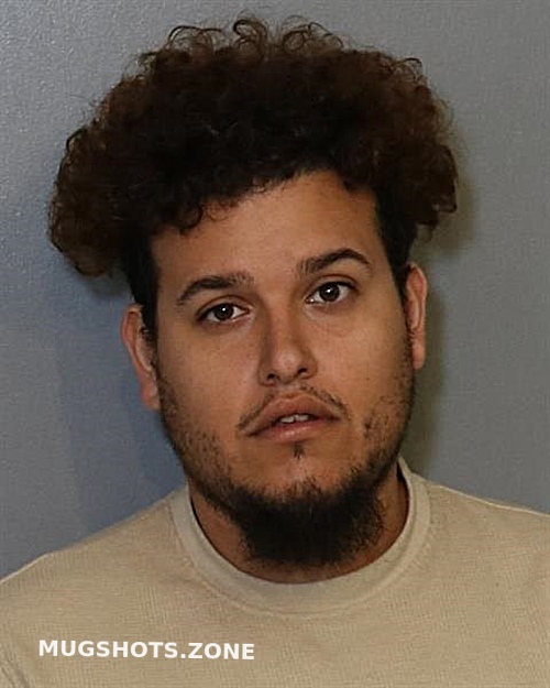 Jorge Manuel Domenech Rodriguez 02 09 2024 Osceola County Mugshots Zone