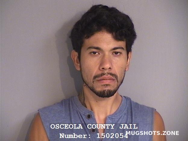 Arrests In Osceola County Florida