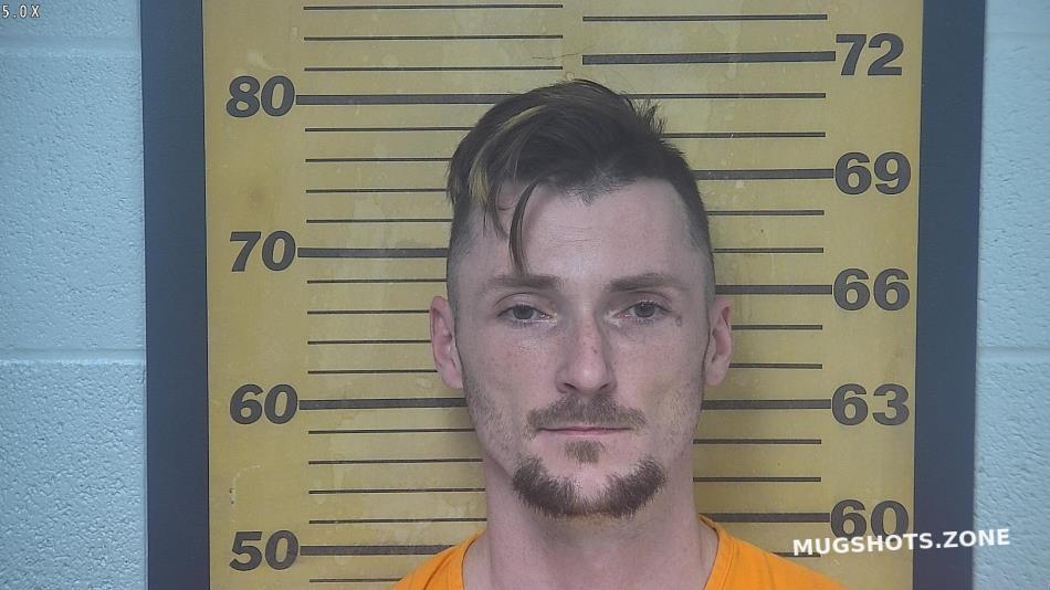 TULLIS TRAVIS N 06/24/2022 Ottawa County Mugshots Zone