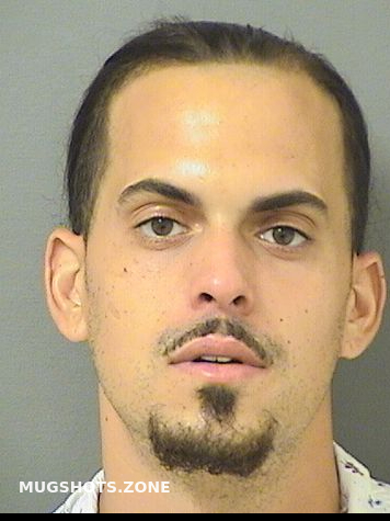 Palm Beachs Mugshot Zone The Unexpected Faces Of Local Arrests - bv2eyhw