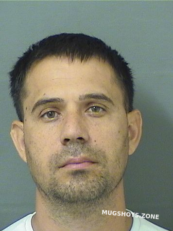 COSTACHE MILU 11/13/2023 - Palm Beach County Mugshots Zone