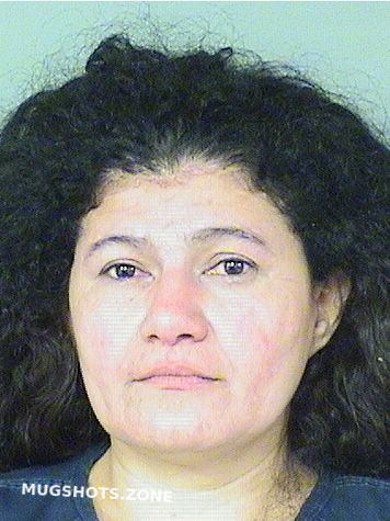PUERTO SENIA 02/12/2024 - Palm Beach County Mugshots Zone