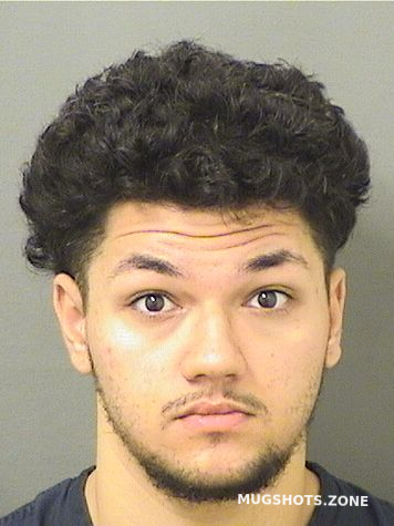 AKBAR RYAN NICHOLAS 02/15/2024 - Palm Beach County Mugshots Zone