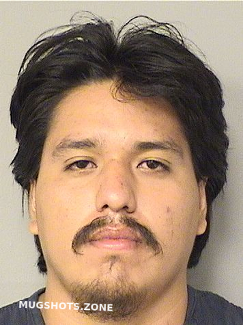 Delta 8 THC + CBD Gummies Combo Pack 500 MG Per Box