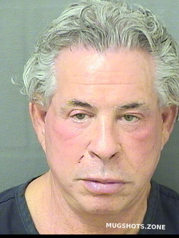 LEVIN JEFFREY JAY 10/30/2024 - Palm Beach County Mugshots Zone