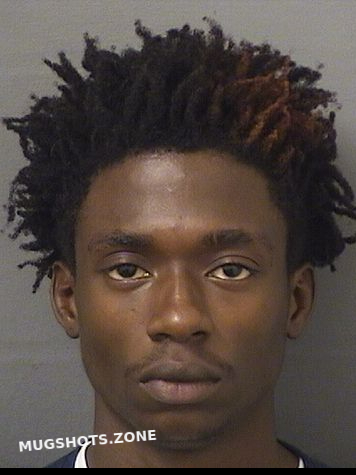 PIERRE SEBASTIEN 03/16/2025 Palm Beach County Mugshots Zone