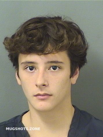 ADELMAN JEFFREY 08/28/2025 - Palm Beach County Mugshots Zone