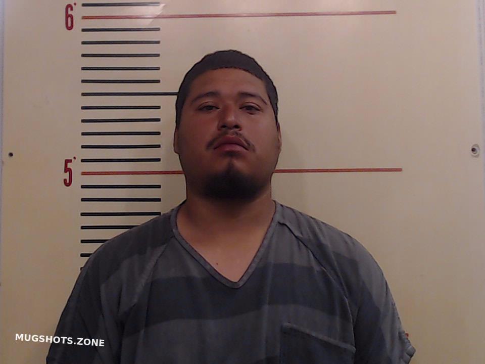 HERNANDEZ SERGIO 03/20/2024 - Parker County Mugshots Zone