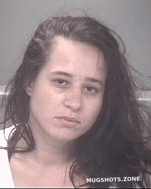 Sanders Susan Nicole 11 13 2022 Pasco County Mugshots Zone