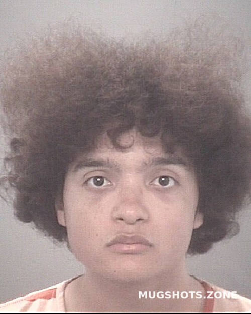 Morales Johnny 12 17 2022 Pasco County Mugshots Zone