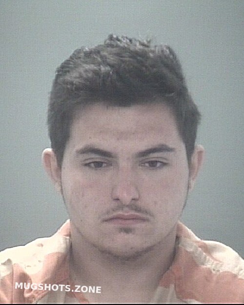 Wittman Fabian William 01 25 2023 - Pasco County Mugshots Zone