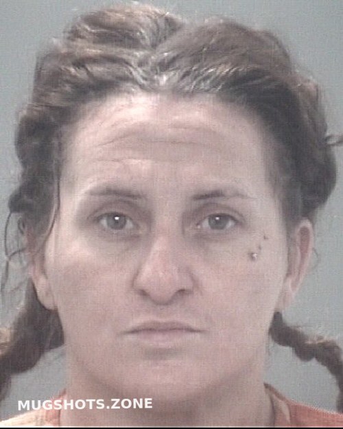 WOOD ANGELA MARIE 02/13/2023 Pasco County Mugshots Zone