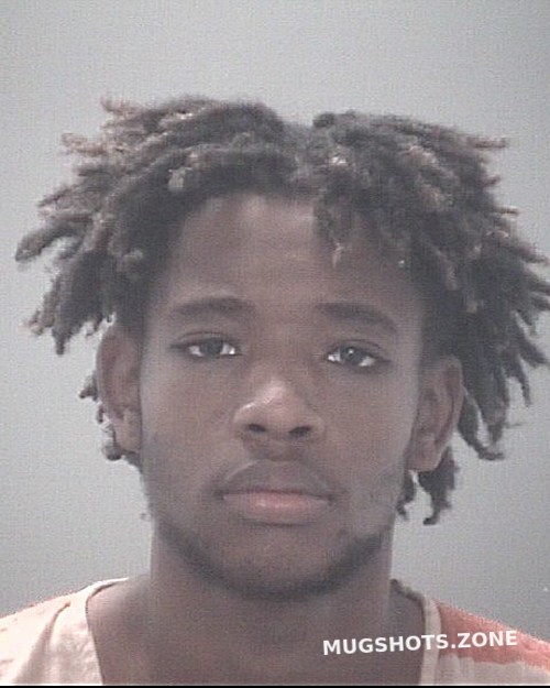 WATSON DOMINIC A 08/01/2023 - Pasco County Mugshots Zone