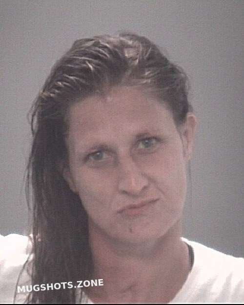 PRIDDY KRISTY SHAWN 10/04/2023 - Pasco County Mugshots Zone