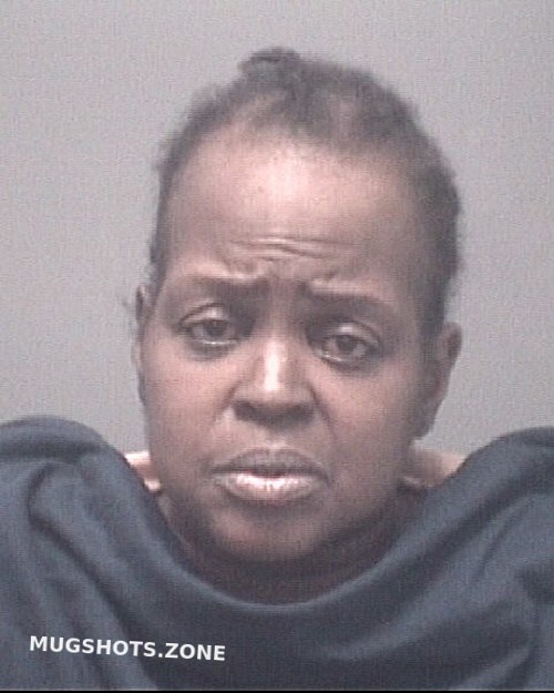 Brown Alethia 10 25 2023 Pasco County Mugshots Zone