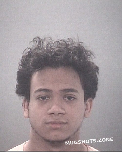 Del Valle Alexander Joel 01 22 2024 - Pasco County Mugshots Zone