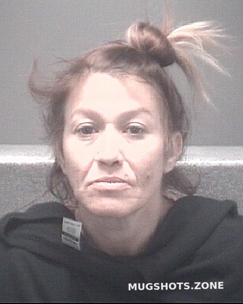 FLING MARILYN BILBREY 01/27/2024 - Pasco County Mugshots Zone