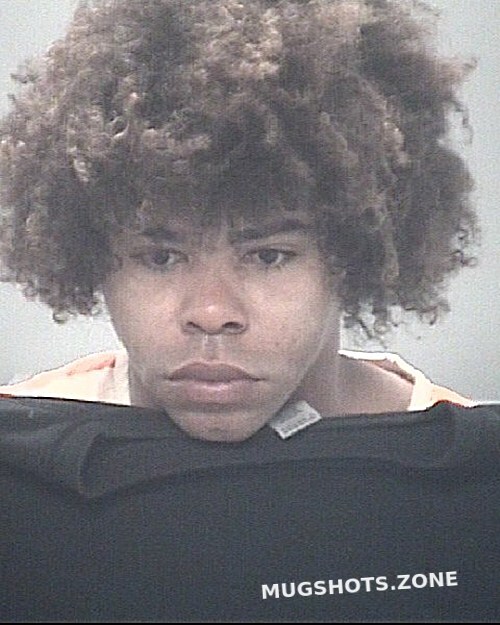 BROWN JAMES NATHANIEL III 03/20/2024 - Pasco County Mugshots Zone