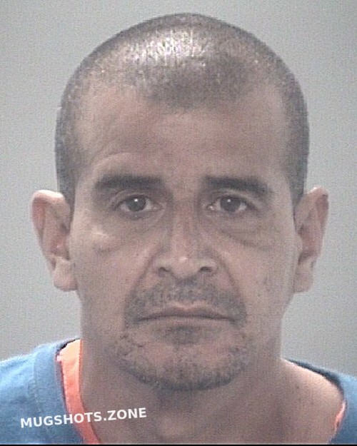 RAMIREZ ALBERTO 06/17/2024 Pasco County Mugshots Zone