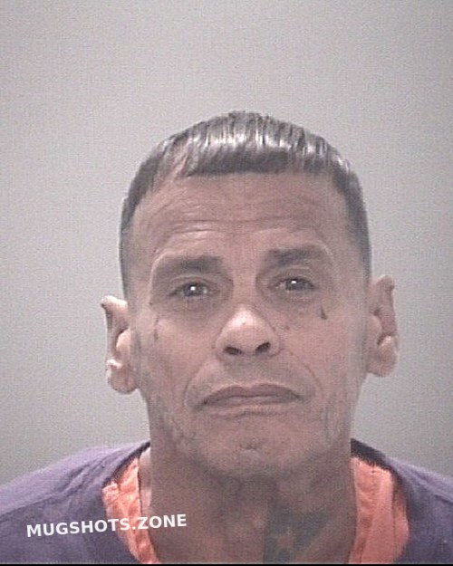 GUIVAS WILFREDO 10/17/2024 Pasco County Mugshots Zone
