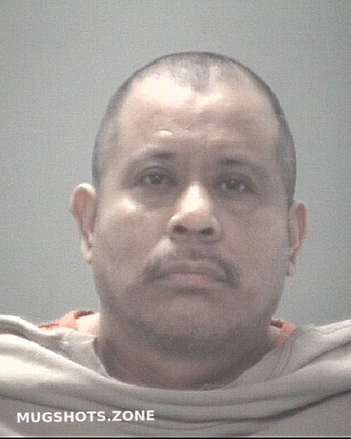 GUTIERREZ JOEL 11/07/2024 Pasco County Mugshots Zone(01)