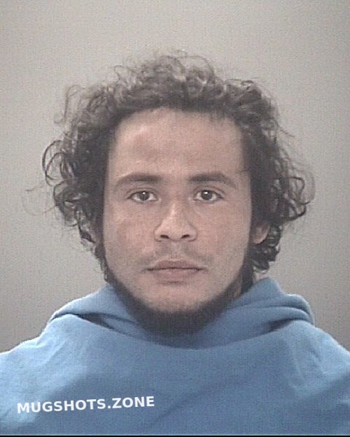 GONZALEZ EDWIN LOIS 01/17/2025 - Pasco County Mugshots Zone