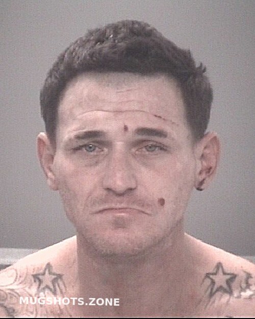 SAVARESE PAUL ANTHONY 01/31/2025 Pasco County Mugshots Zone(01)