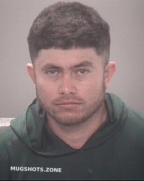 CASTILLO BISMARCK 03/01/2025 Pasco County Mugshots Zone