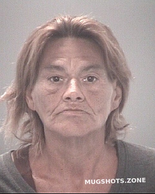 MINA ALICIA ANN 08/15/2025 Pasco County Mugshots Zone