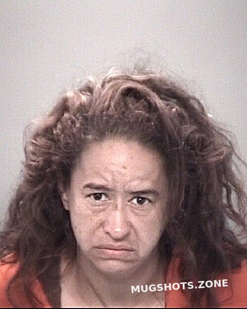 SANTIAGO WALESKA 11/08/2025 Pasco County Mugshots Zone