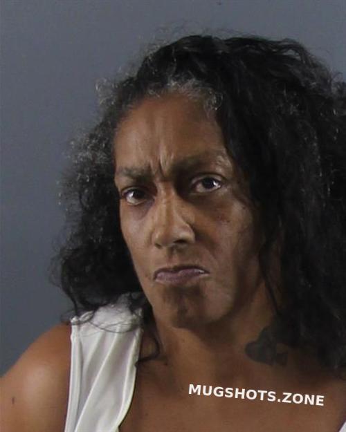 PURIFOY ANN 08/28/2022 - Peoria County Mugshots Zone