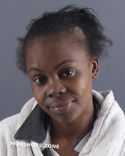 SHELLEY ASHLEY 06/13/2023 Peoria County Mugshots Zone