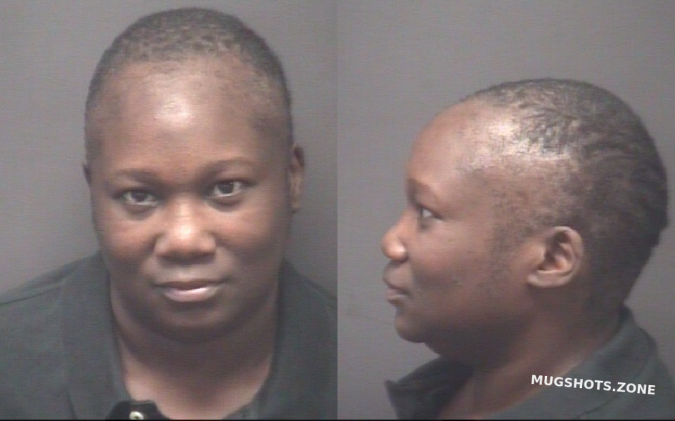 MCDUFFIE MICHELLE 08/08/2023 Pitt County Mugshots Zone