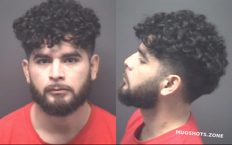 FLORES CHRISTIAN SEGOVIA 03/10/2024 - Pitt County Mugshots Zone