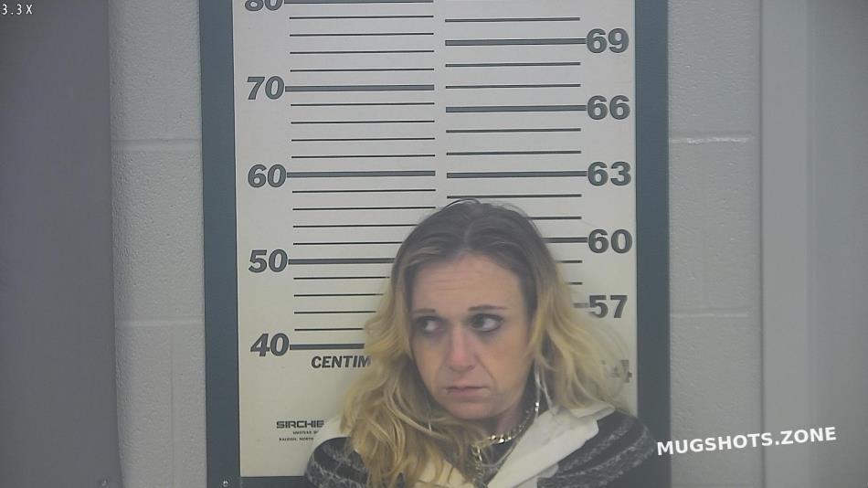 HIGGINS THERESA ELIZABETH 11/16/2022 Platte County Mugshots Zone