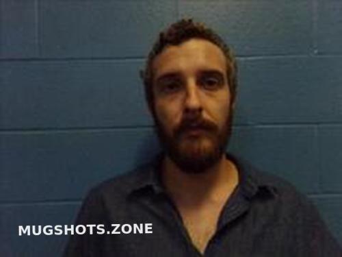 Tanner James Freeman 07032023 Poinsett County Mugshots Zone