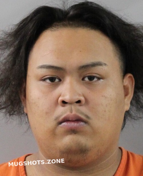 PHABSOMPHOU DONIVEN HUTSADY 06/18/2021 Polk County Mugshots Zone