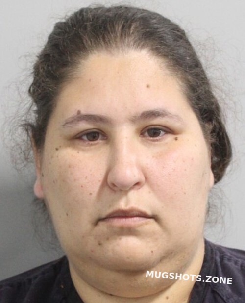 VAN NUYS JOHANNA LEIGH 10/10/2021 Polk County Mugshots Zone