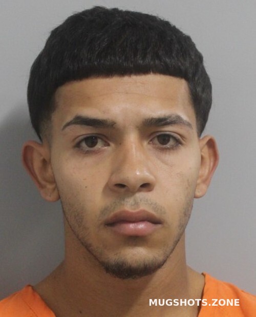 Roldan Leon Michael G 01 28 2022 - Polk County Mugshots Zone