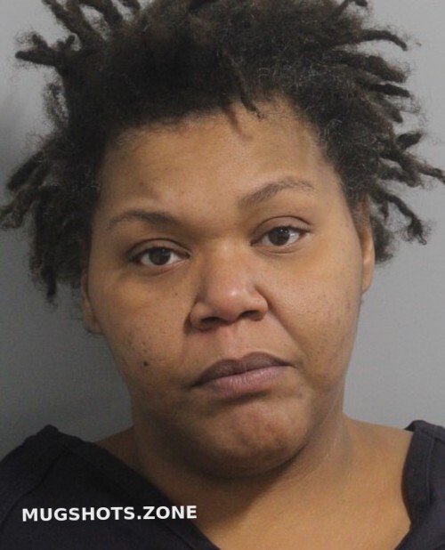 MCLEAN AUDREY 02/02/2022 Polk County Mugshots Zone