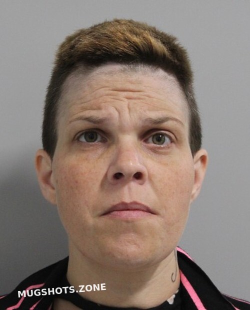 BRADLEY CYNTHIA ANN 04/01/2022 Polk County Mugshots Zone